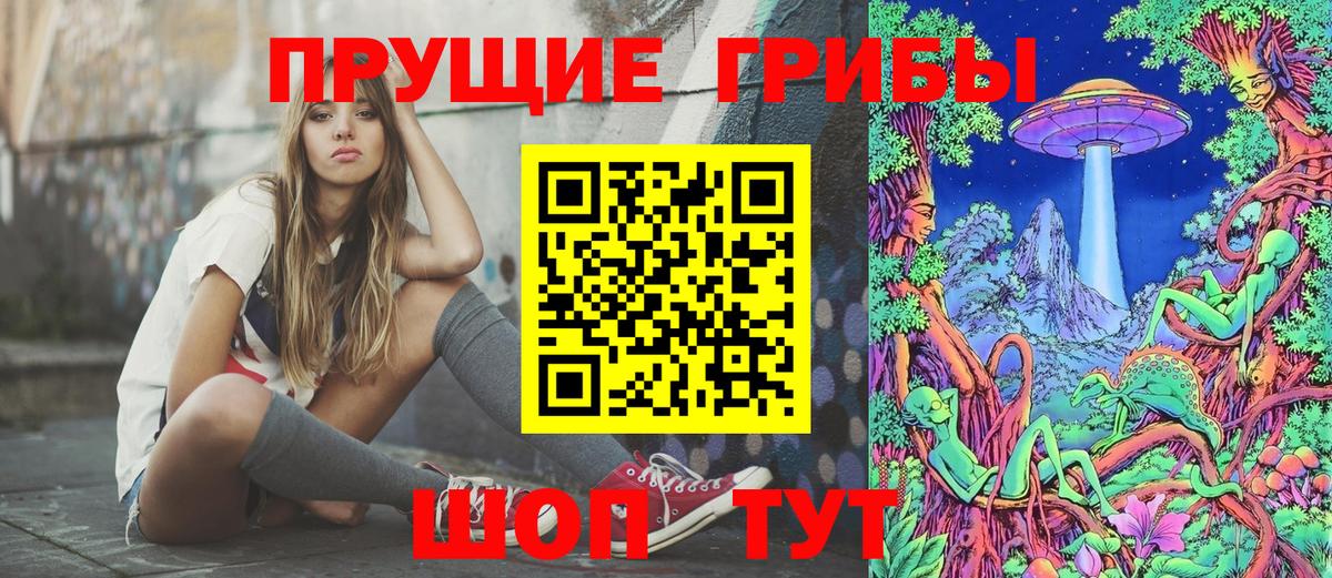 Псилоцибиновые грибы Magic Shrooms  Вход с VPN  Каменка  Псилоцибиновые грибы GOLDEN TEACHER 